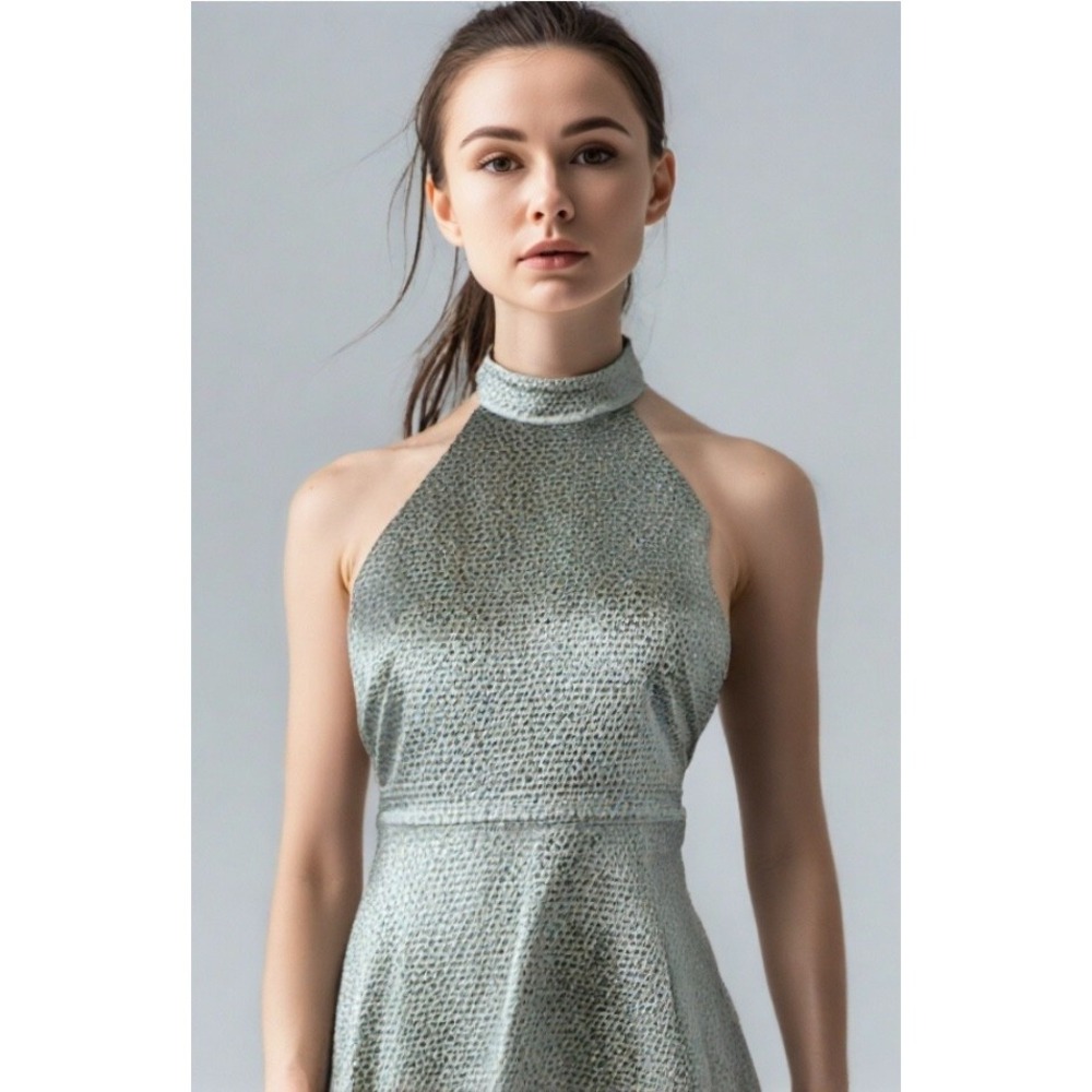 Alice Olivia Dress Womens Size 2 Metallic Halter Fit Flare Silver Backless Lined